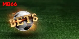 Kèo C2 – Hướng Dẫn Chi Tiết Và Những Điều Cần Biết Để Thắng Lớn